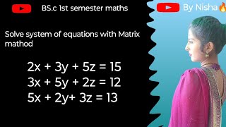 solve system of equations with Matrix mathod