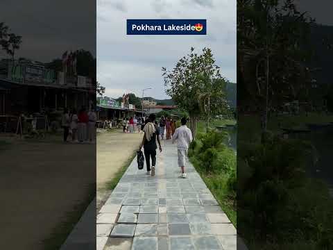 Pokhara Lakeside Beauty 😍 | Wow Wow Wow! 🌄 | #Shorts