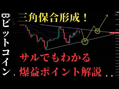 【最速配信】ビットコイン爆益ポイント徹底解説。これだけで億れる可能性大！？