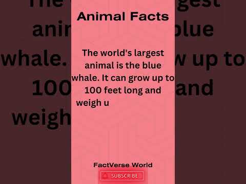 Animal Facts