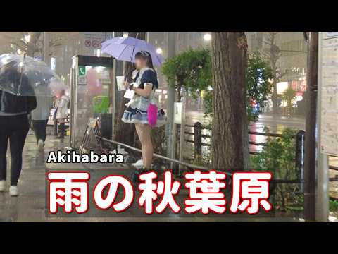雨の秋葉原。【コンカフェ】に浸食されて【メイドカフェ】が見当たらない。各コンカフェ通りの対応と感想を語ります。