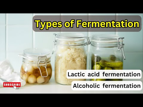 Types of fermentation || Fermentation || Anaerobic respiration