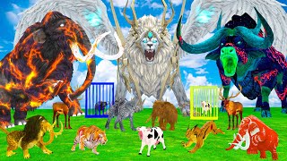 5 Giant Mammoth Elephant Cow Vs Giant Bison 5 Buffalo 5 Giant Lion Tiger Saved By Woolly Mammoth