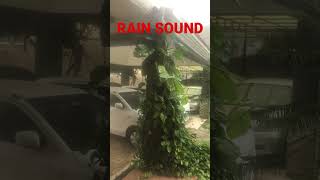 RAIN SOUND | BEST OF NATURAL SOUNDS #rain #rainsounds #shorts #shortsinstagram