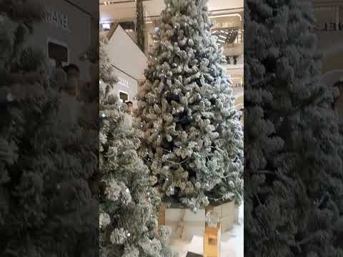 Christmas Decor #christmas #chritmastree #ytshort #shortsvideo #shortsfeed #klcc #christmasdecor