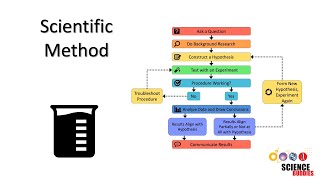 The Scientific Method: Steps and Examples