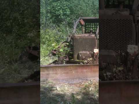 Finding old Bulldozer Deep in the Bush #goldmining #bulldozer #heavyequipment #caterpillar