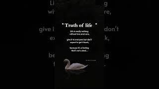 English quotes of life #englishquotes #amazingqoutesaboutlife #motivation #englishthoughts #quotes