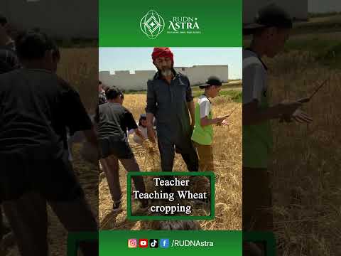 Smart Farming for Wheat | RUDN Astra Agricultural Innovation