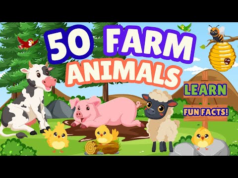 50 Farm Animals 🐄 | Learn Animal Names & Fun Farm Facts for Kids!