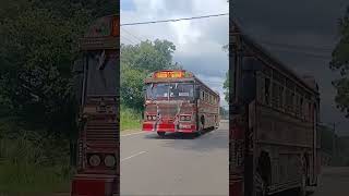 bus #bus#busdj #love