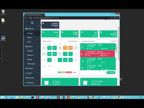 Using the Overview to view specific backups and restores