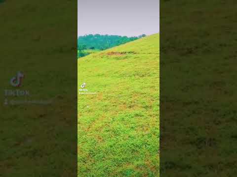 Evergreen place.Dulikhel kavre.(Most visit this place)
