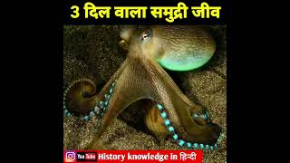 तीन दिल वाला समुद्री जीव | adventure earth in hindi | amazing fact | history knowledge in hindi
