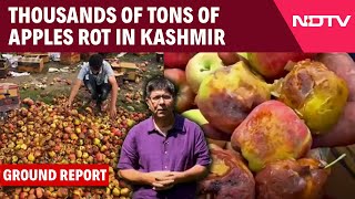 Kashmir Apple News | Thousands Of Tonnes Of Apples Rotting In Kashmir Due To Road Closure