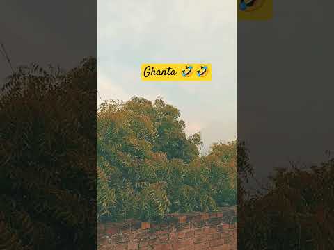 #comedy #trending #viralvideos #viral #funny #shorts #song #love #students