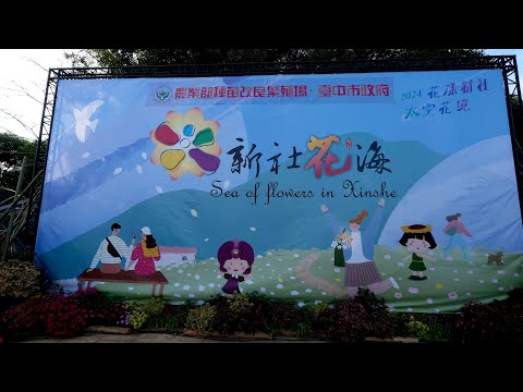 台中市新社區,2024台中國際花毯節,花海區,Sea of Flowers in Xinshe,Taichung City_20241109