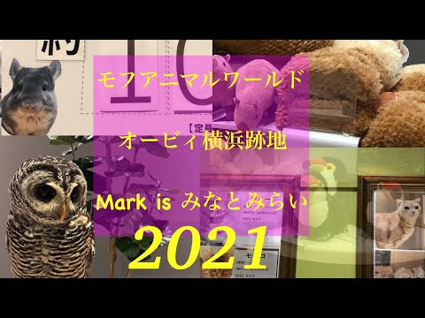モフアニマルワールド　Mark isみなとみらい店で占ってもらいました。