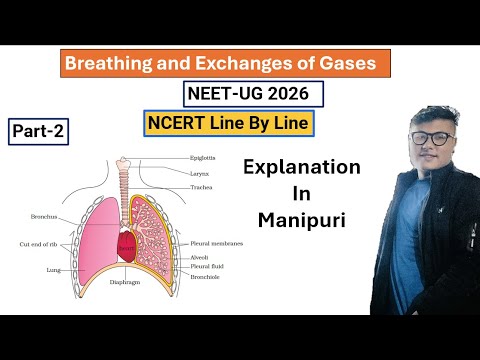 Breathing and Exchanges of gases || Part- 2 || NEET UG Foundation #ncert #neet #latestnews