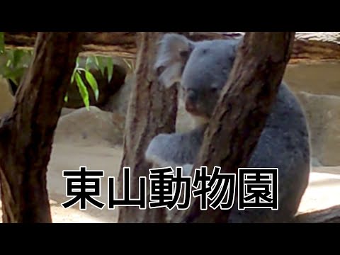 【東山動物園】動いている動物達を集めてみました。