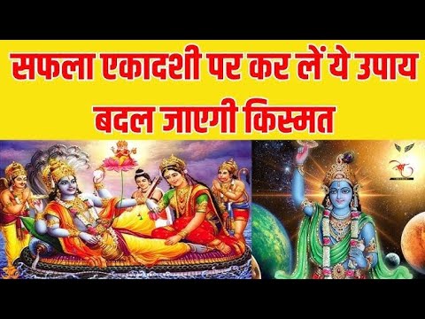 सफला एकादशी कीजिये ये खास उपाय ,🙏🙏@laxaminarayan-japtapvratt7537