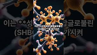 정력을 해치는 당분