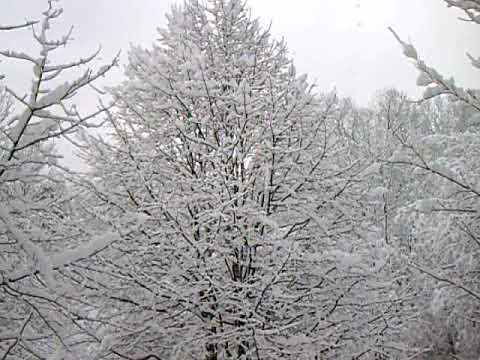 It's Snowing