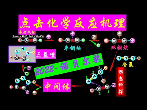 点击化学-反应机理-炔烃和叠氮的完美结合-2022诺贝尔化学奖