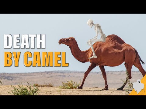 The Phantom Camels of Arizona! | The Red Ghost & The Camel Corps