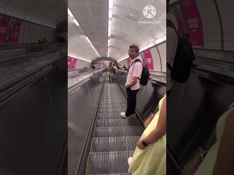 Longest escalator in New York Hudson Yards #hudsonyards #americancity #newyork #viral