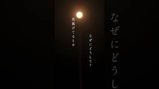 RADWIMPS「賜物」2025.04.18 Release NHK連続テレビ小説『あんぱん』主題歌 #朝ドラあんぱん #RADWIMPS #賜物 #RADWIMPS20TH