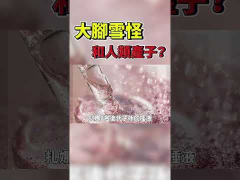 半人？大腳雪怪扎娜 和人類有下一代?曉菁主播JudyVlog#Shorts