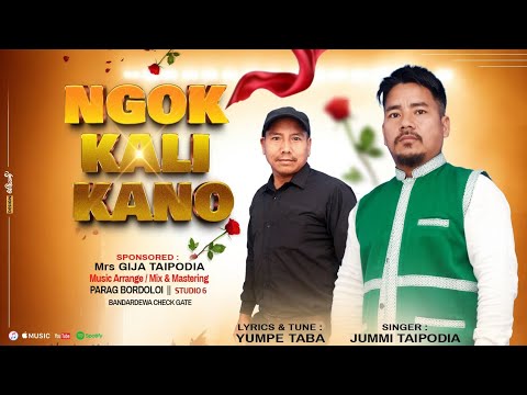 Ngok kali kano || Singer Jummi Taipodia || Galo song