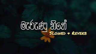 Marunu Hithe ( මැරුණු හිතේ ) || Slowed & Reverb || Sinhala Lo-fi || Mano Paara