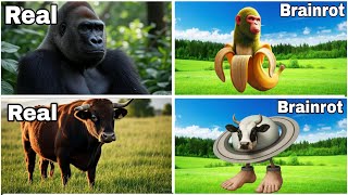 Real vs Brainrot Clash ⚡ Chimpanzee & Shimpanzini bananini 🐒🍌 + Cow & Saturno Saturnita 🐄🪐 | Coffin