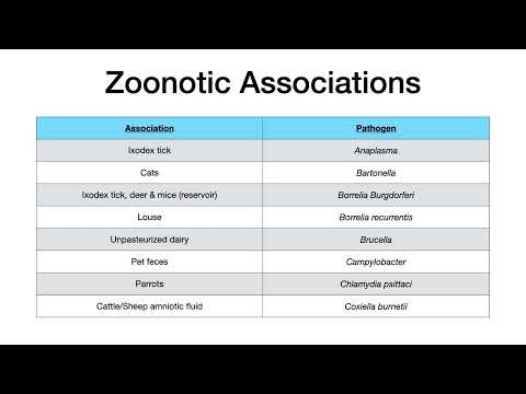 Microbiology Buzzwords & Associations