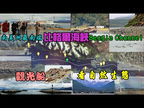 南美洲最南端 比格爾海峽 Beagle Channel 觀光船看自然生態