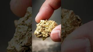 Harsh Reality Of Gold Mining 😳 #joerogan