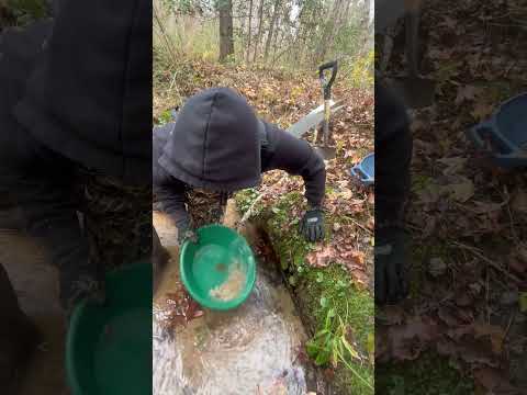 Found a Hidden Gold Pocket on a Secret Creek Bend! 🔥