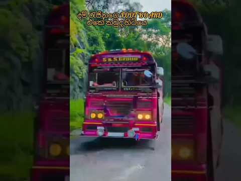 🥰මේ bus වල නම් 😇comment කරන්න#automobile#sl#1million#1k #dj#bus#dumrajina#dumare#shorts