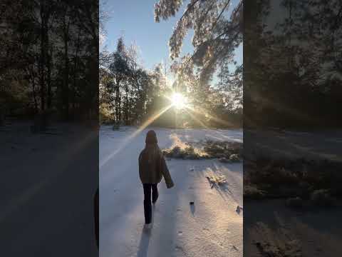 Snow in Florida #snow #florida #winter #winterstorm #snowing