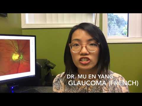 Dr Yang Glaucoma in French
