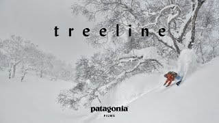 Treeline: The Secret Life of Trees | Patagonia Films