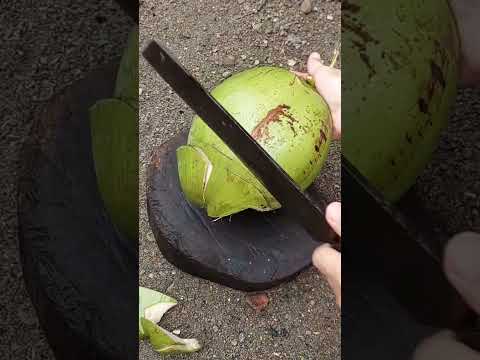 Life is better with a coconut. #coconut #buhayprobinsya #youtubeshorts