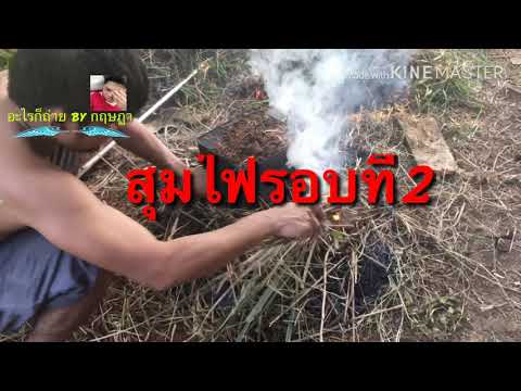 ไก่อบฟาง ใช้หญ้าแห้งแทน #ไก่อบฟาง #คนไทยในต่างแดน