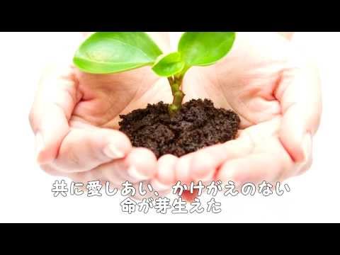 家族の感動する歌/泣ける曲。親から子供へ、子供から親に贈る、愛情溢れる涙の感動動画　命紡ぐ愛のうた/クムリソラ【歌詞付き】