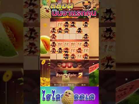สล็อตPG | Ninja Raccoon Frenzy | นินจาแรกคูน pg | อย่าลังเล !!