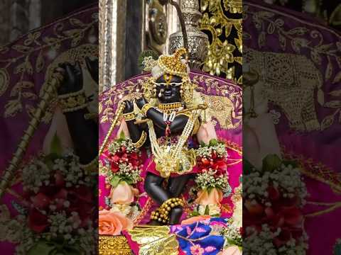 श्री राधारमण लाल #trendingshorts #vrindavan #radharaman #radhakrishna #barsana #premanandjimaharaj