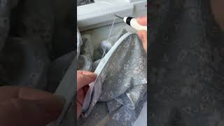 Sewing a dress #sewing #sewingpatterns #fashion #shorts