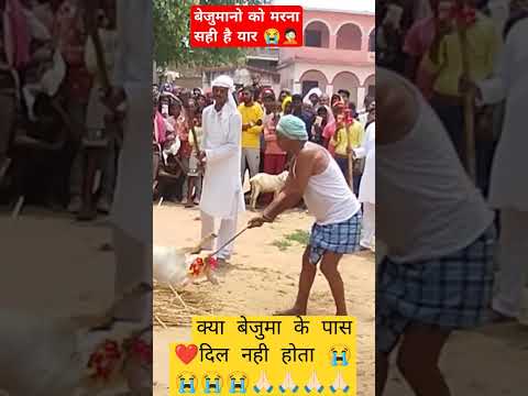 Mana ki bezuman hai per dil to mere pass hai 😭🙏🏻#shortvideo #shortsfeed #viralshort #trending #song